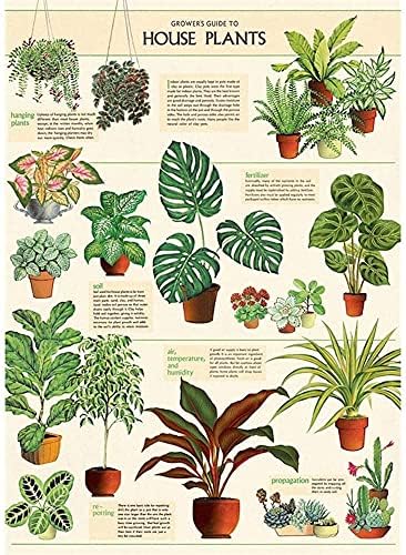 Декоративен Плакат Cavallini в амбалажна хартия, Стайни растения, Италиански Архивните хартия с размери 20 x 28 см (АМБАЛАЖНА хартия / HP)